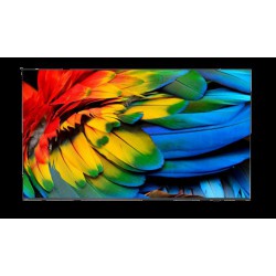 75" HTV Philips 75HFL6214U - Business TV