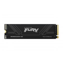 Kingston Fury Renegade G5/1TB/SSD/M.2 NVMe/Černá/Heatsink/5R