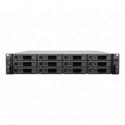 Synology SA3410