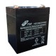 FSP 12V/4.5Ah baterie pro UPS FSP